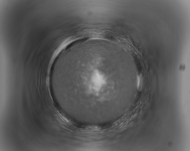X0000098080195200804041156