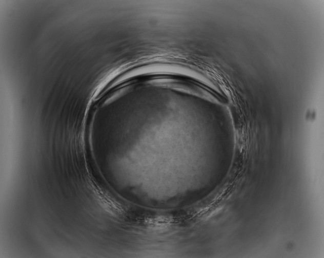 X0000098080196200804041156