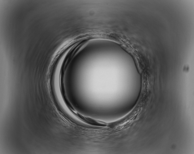 X0000098080197200804041156