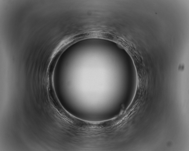 X0000098080198200804041156