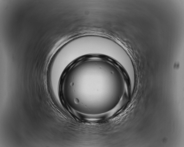 X0000098080199200804041156