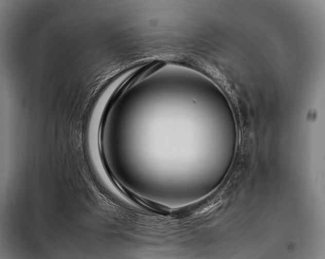 X0000098080201200804041156