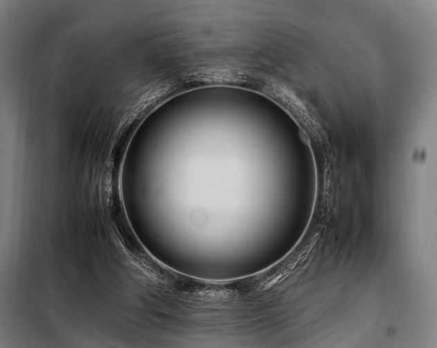 X0000098080202200804041156