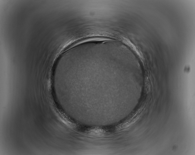 X0000098080203200804041156