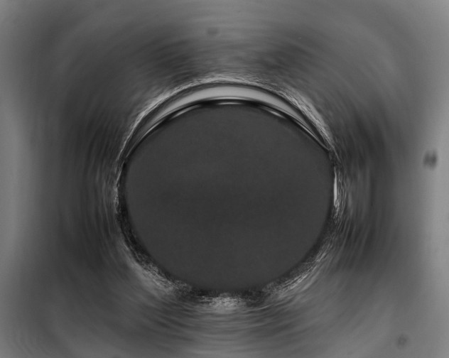 X0000098080204200804041156
