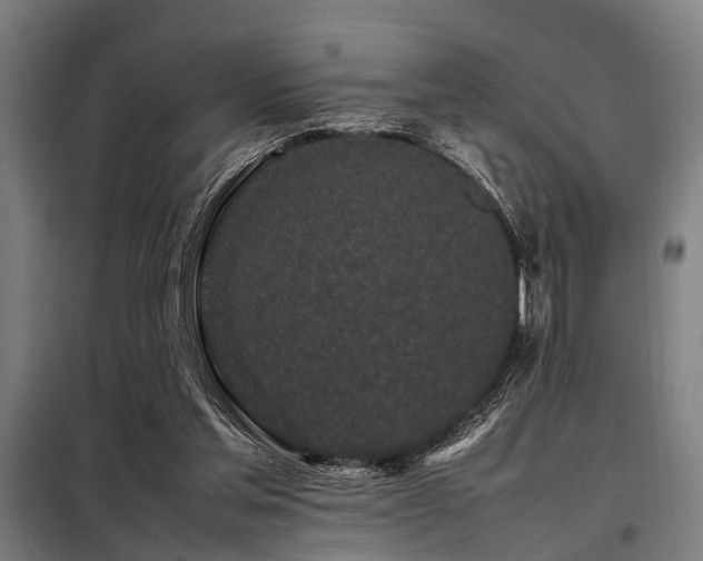 X0000098080205200804041156