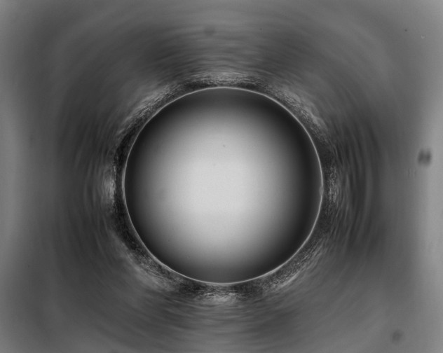 X0000098080206200804041156