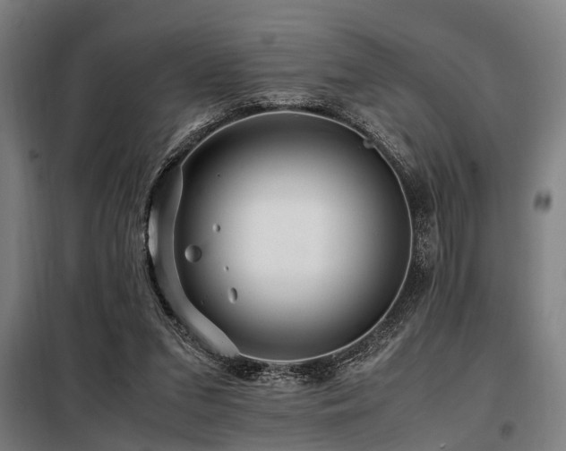 X0000098080207200804041156
