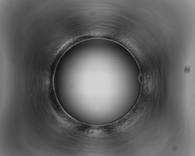 X0000098080208200804041156