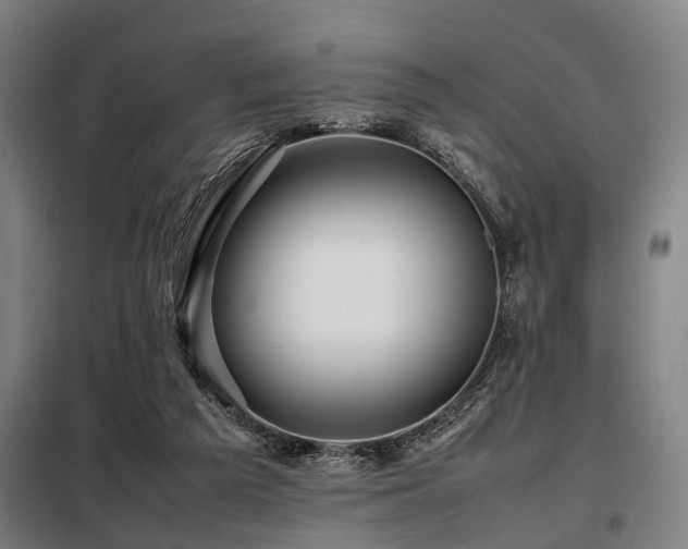 X0000098080209200804041156