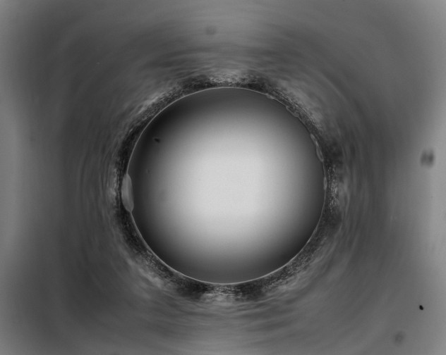 X0000098080211200804041156