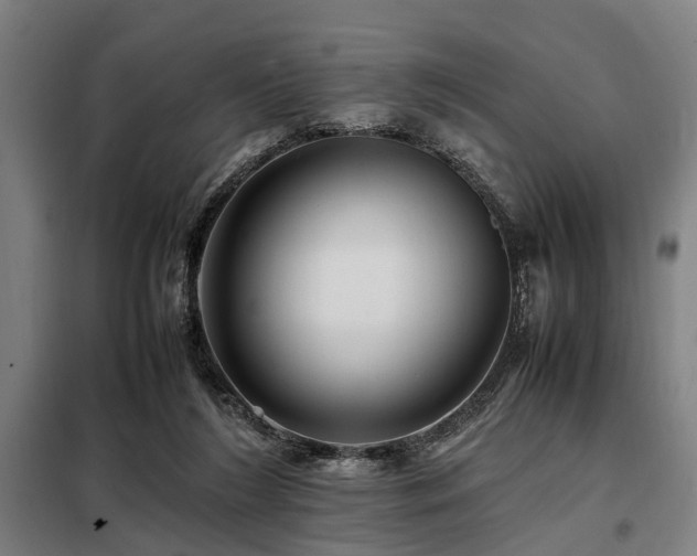 X0000098080212200804041156