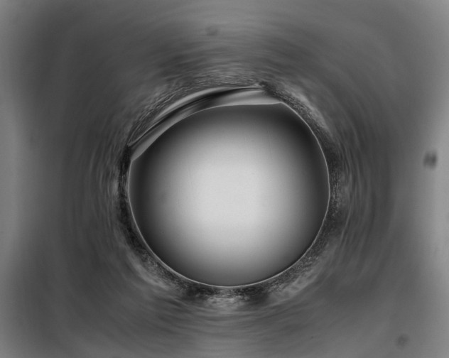 X0000098080213200804041156