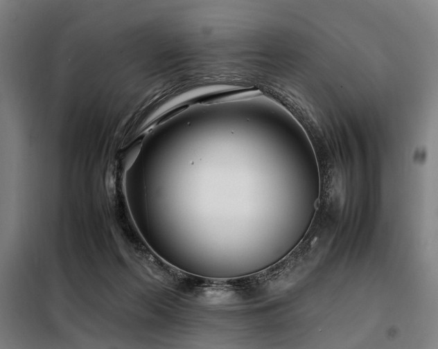 X0000098080214200804041156