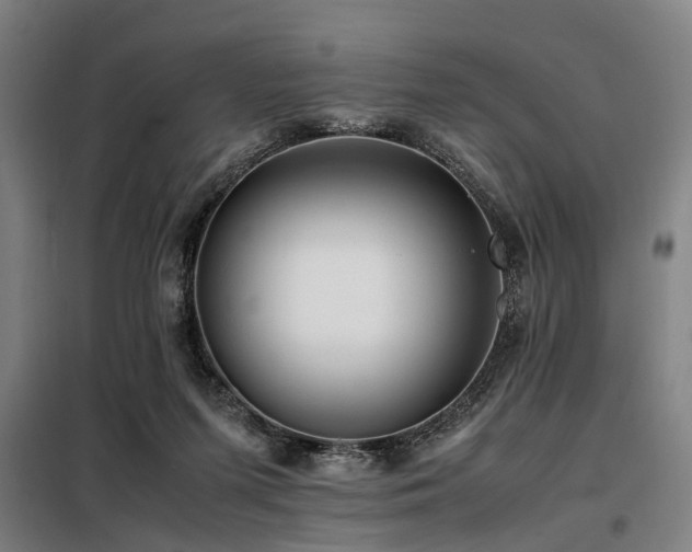X0000098080215200804041156