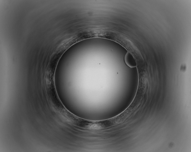 X0000098080218200804041156