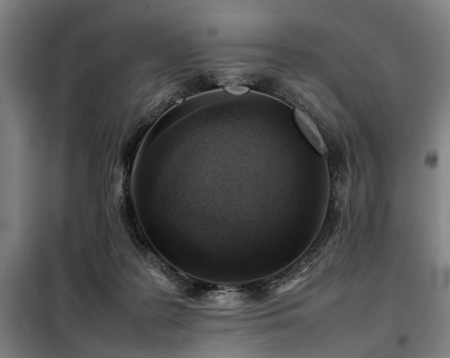 X0000098080219200804041156