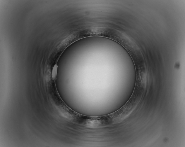 X0000098080220200804041156