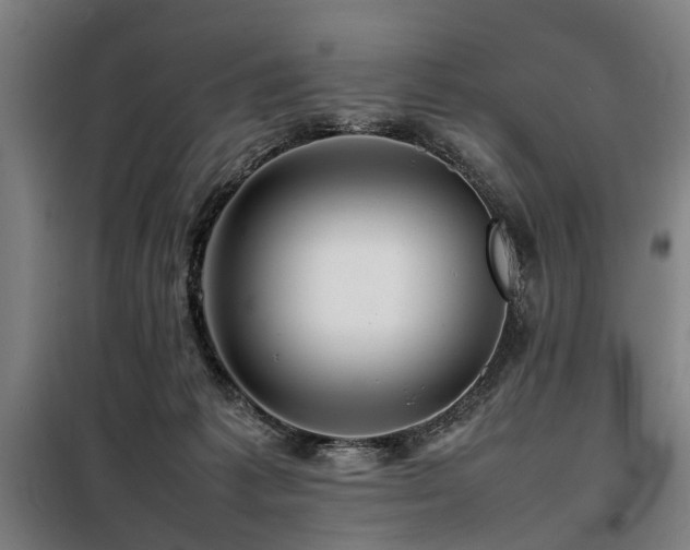 X0000098080221200804041156