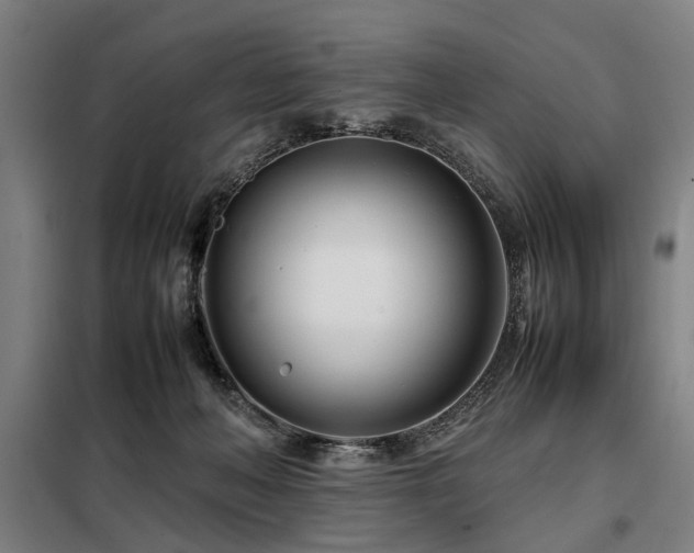 X0000098080222200804041156