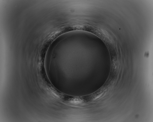 X0000098080223200804041156