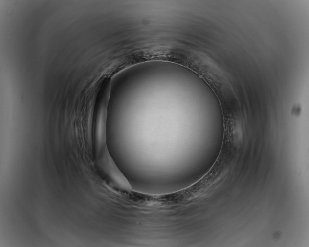 X0000098080224200804041156