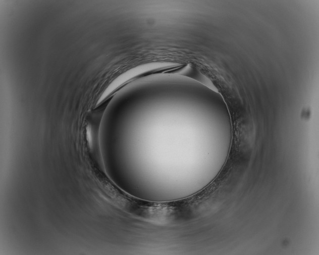 X0000098080225200804041156