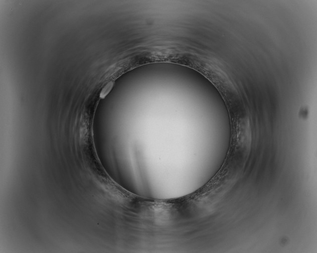 X0000098080226200804041156
