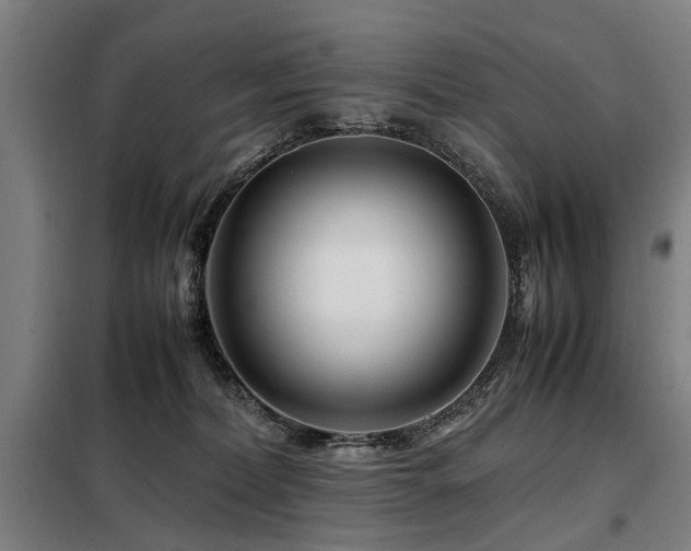 X0000098080228200804041156