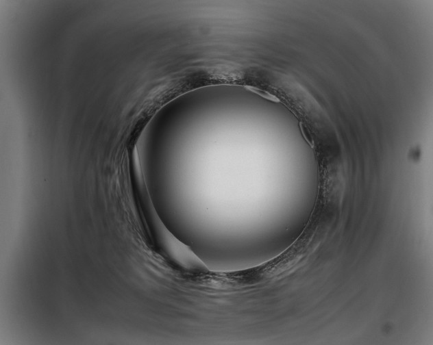 X0000098080229200804041156