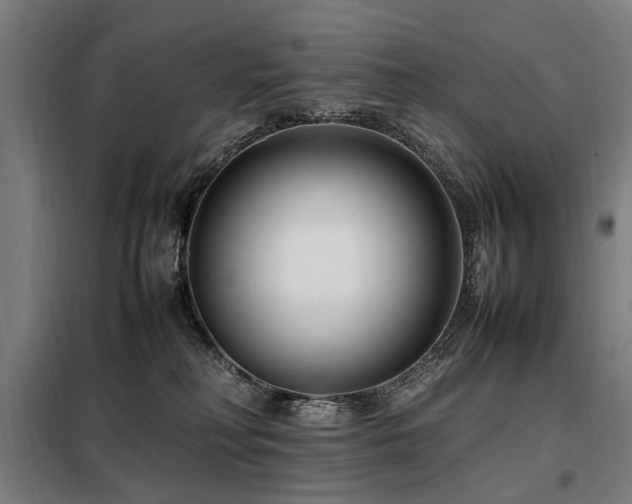 X0000098080230200804041156