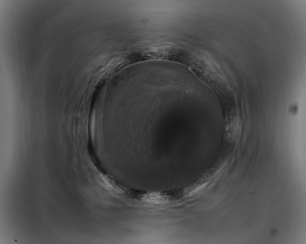 X0000098080231200804041156