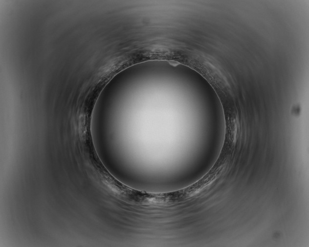 X0000098080232200804041156