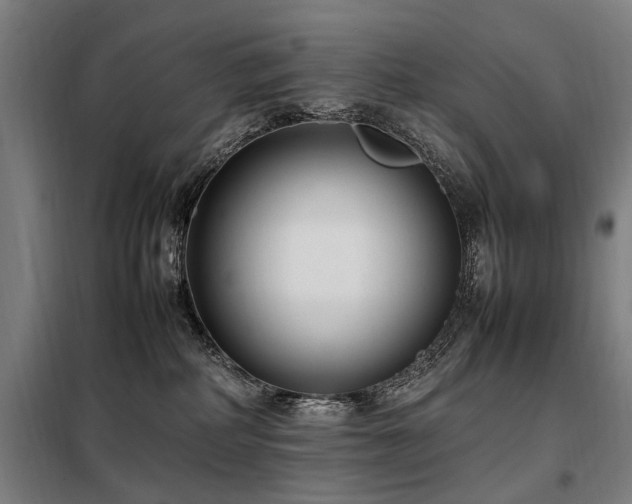 X0000098080234200804041156