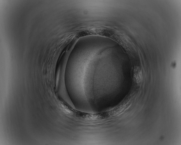 X0000098080235200804041156