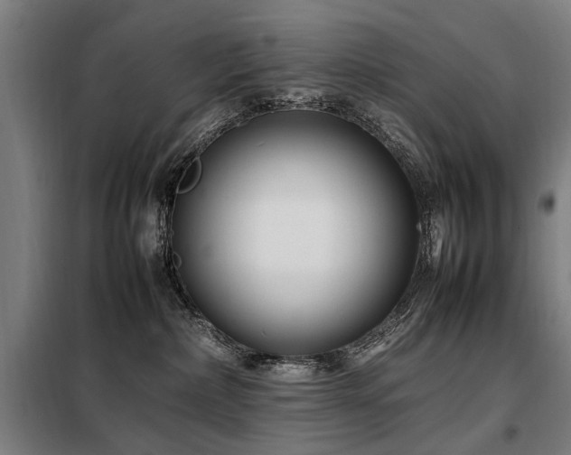 X0000098080236200804041156