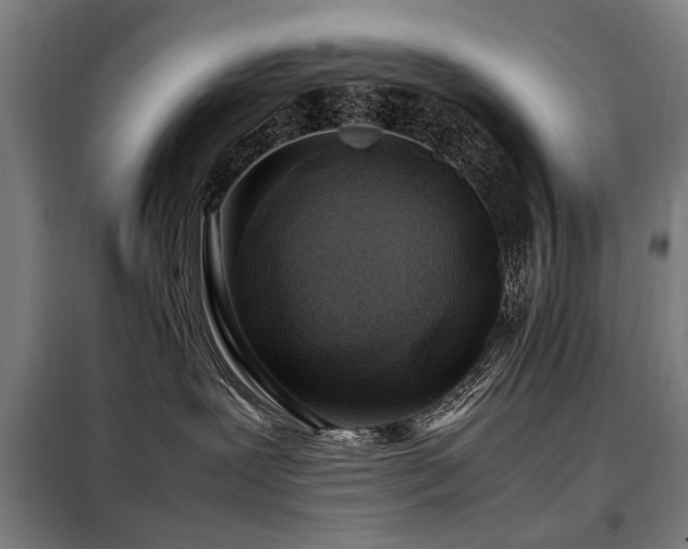 X0000098080239200804041156