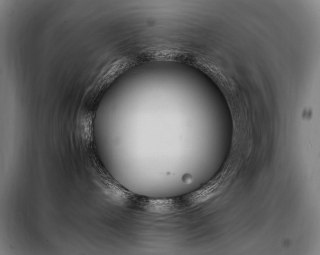 X0000098080240200804041156