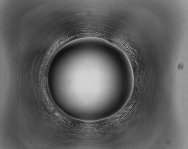 X0000098080241200804041155