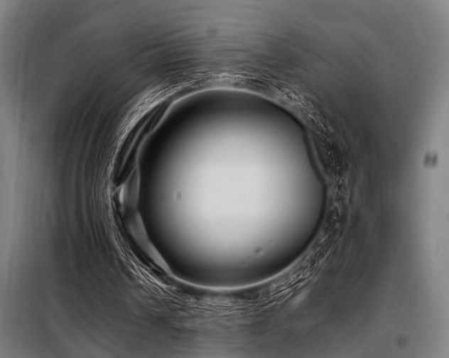 X0000098080242200804041155