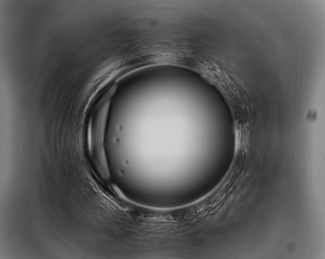 X0000098080243200804041155
