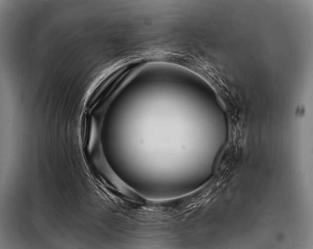 X0000098080244200804041155