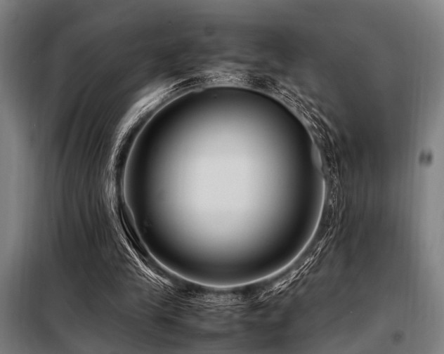 X0000098080245200804041155