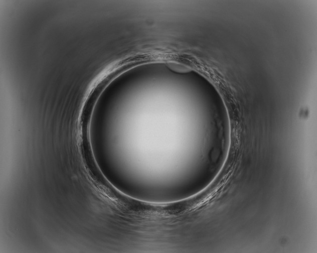 X0000098080246200804041155
