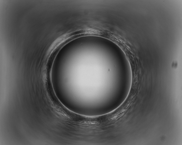 X0000098080247200804041155