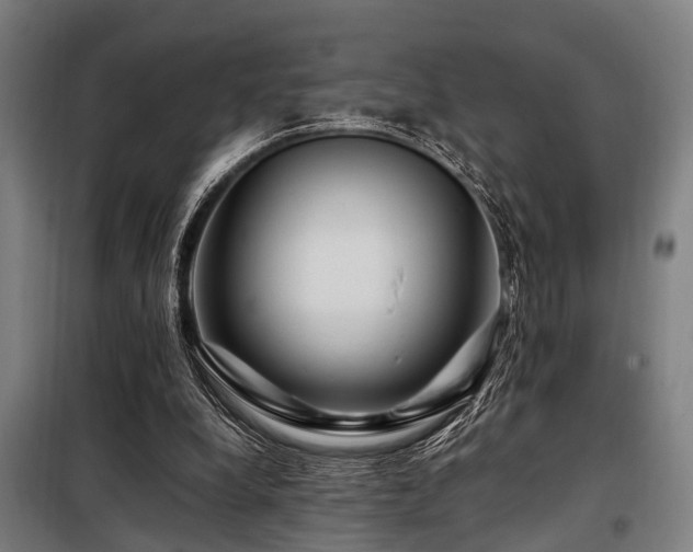X0000098080248200804041155