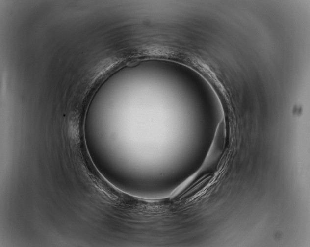X0000098080249200804041155