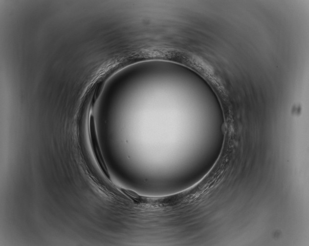 X0000098080250200804041155