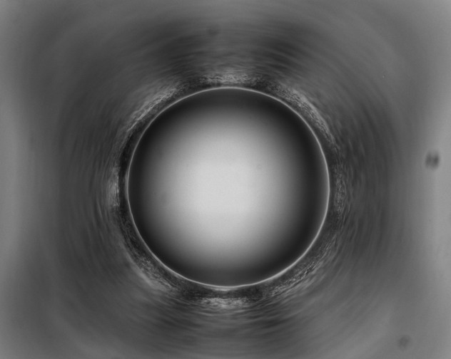 X0000098080251200804041155