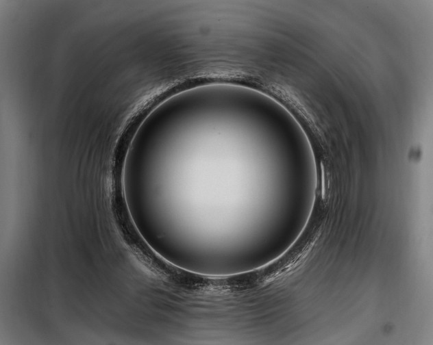 X0000098080252200804041155